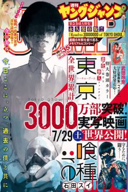 双子星公主第三部中文版全集